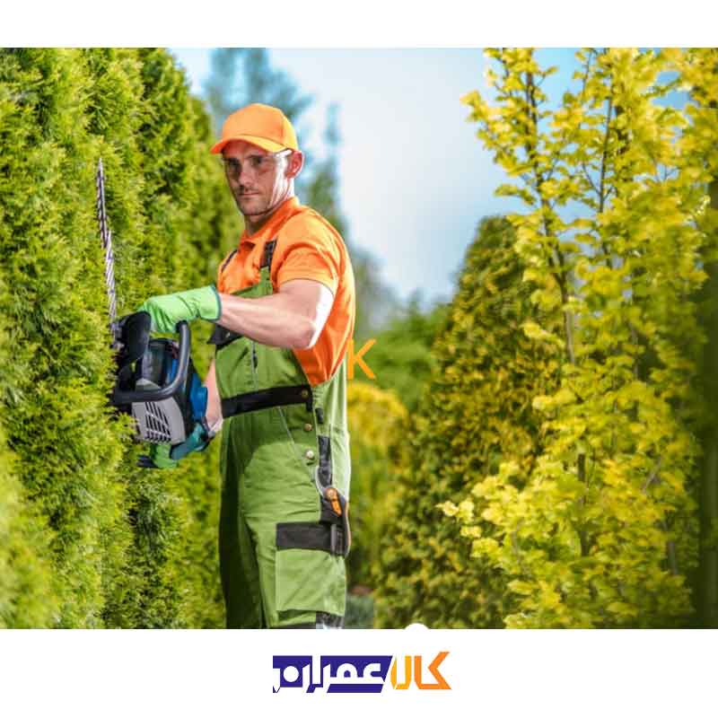 شمشاد زن بنزینی مدل TURBO 600 هیوندای