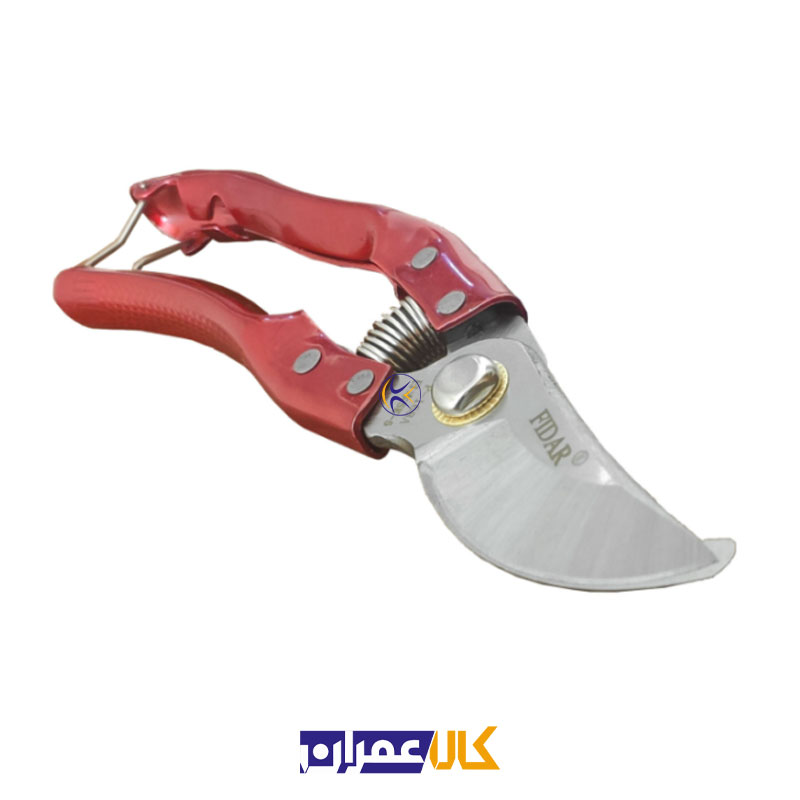 قیچی میوه چینی