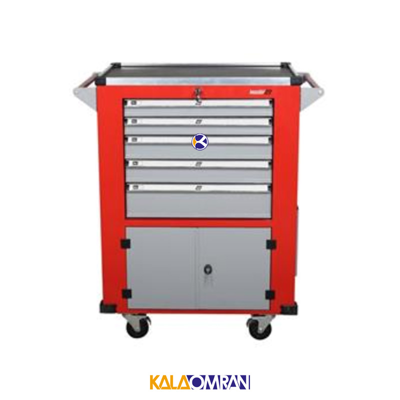 جعبه ابزار کارگاهی شاهرخ ابزار کد 725