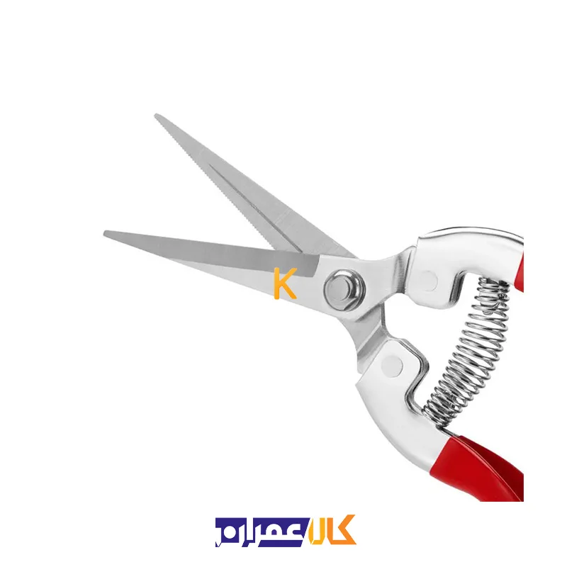 قیچی میوه چین RH-3150 رونیکس