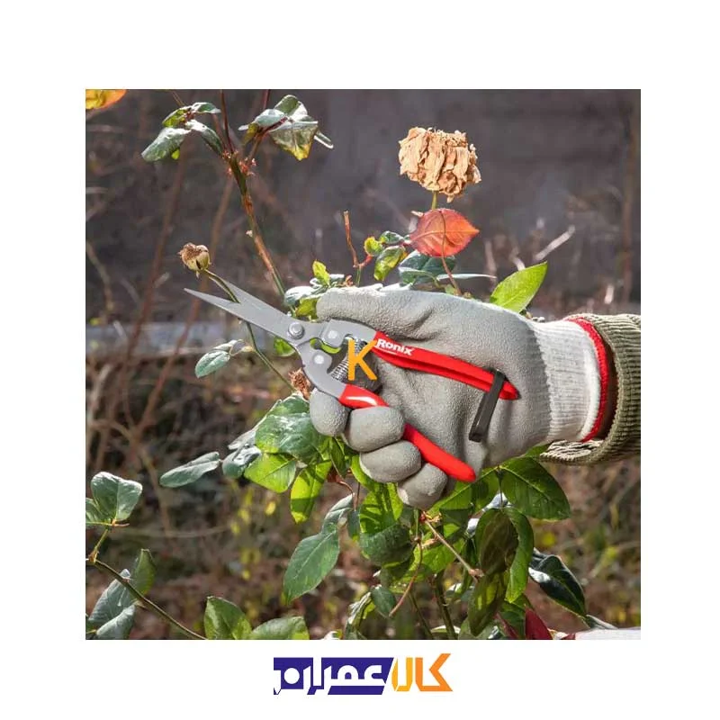 قیچی میوه چین RH-3150 رونیکس