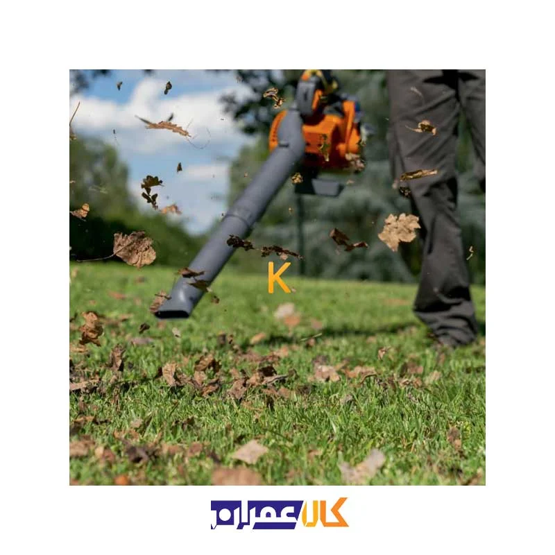 دمنده موتوری مدل BV 250 اولیومک