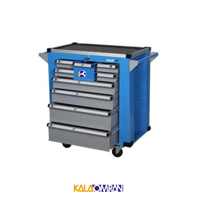 جعبه ابزار کارگاهی شاهرخ ابزار کد 729B