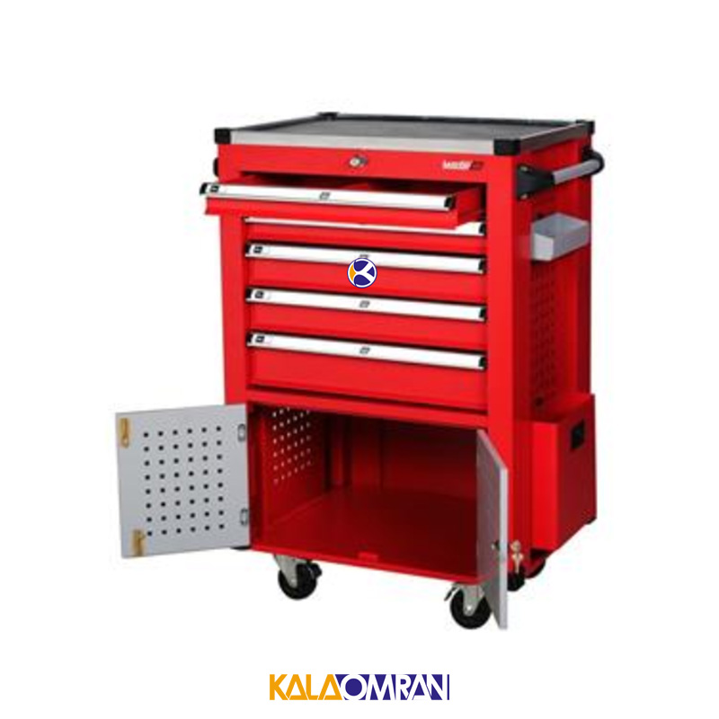 جعبه ابزار کارگاهی شاهرخ ابزار کد 725N