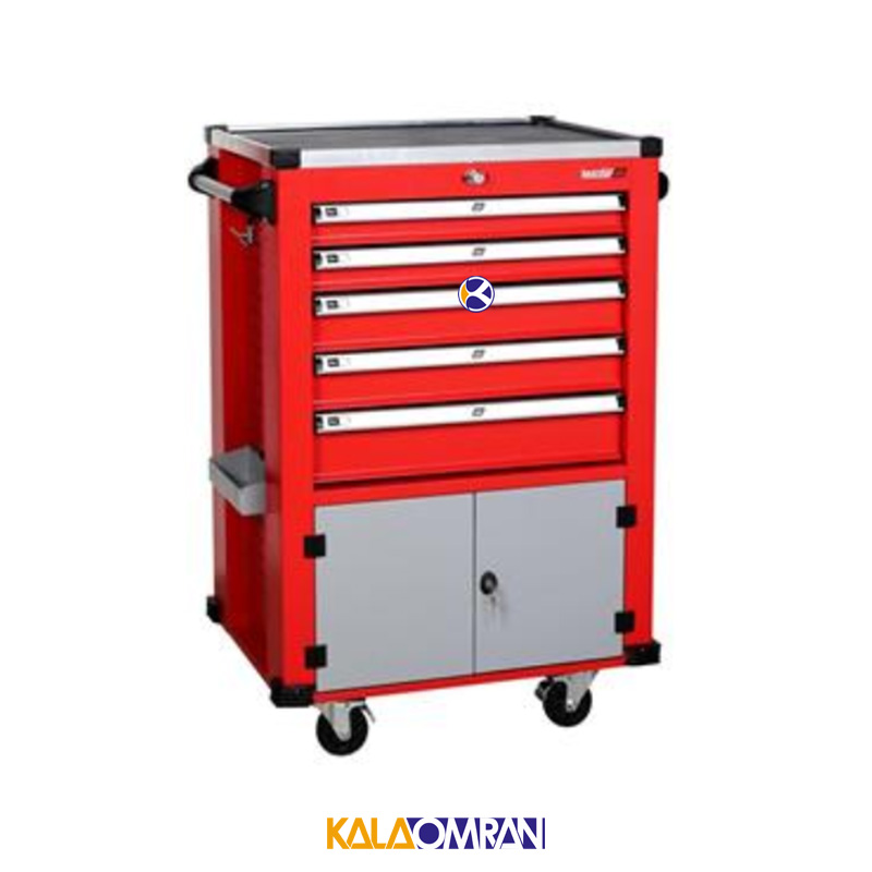 جعبه ابزار کارگاهی شاهرخ ابزار کد 725N