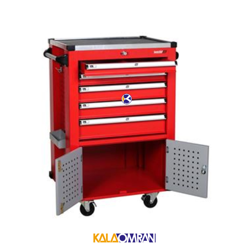 جعبه ابزار کارگاهی شاهرخ ابزار کد 725N