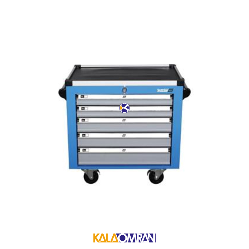 جعبه ابزار کارگاهی شاهرخ ابزار کد 725B2