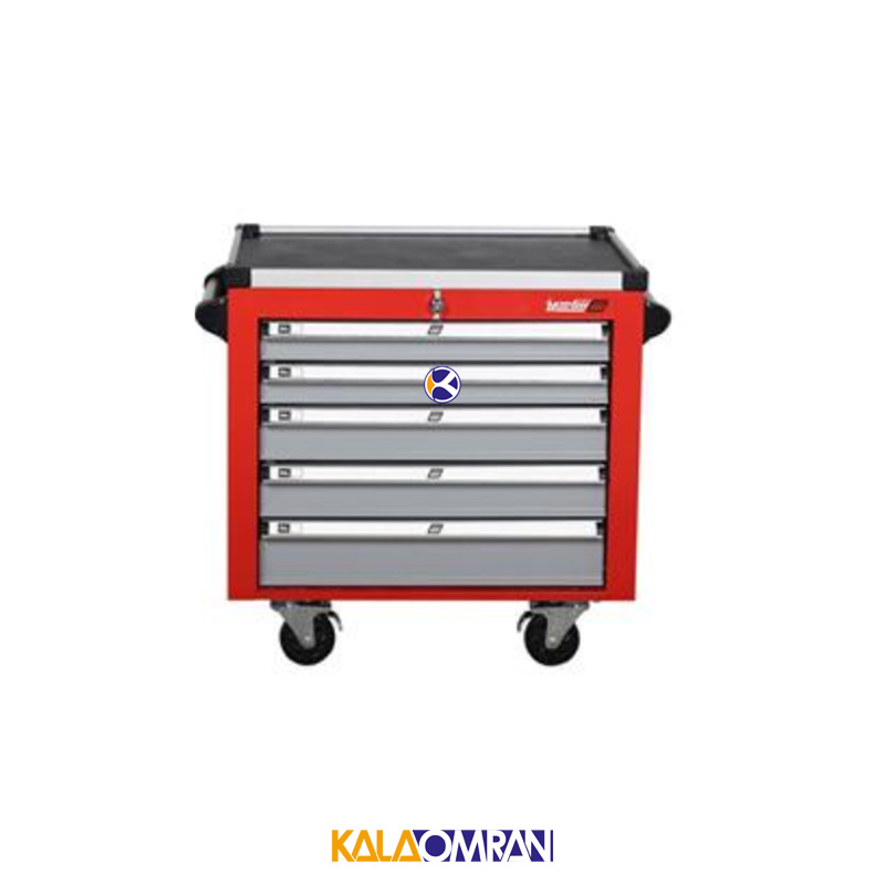 جعبه ابزار کارگاهی شاهرخ ابزار کد 725B1