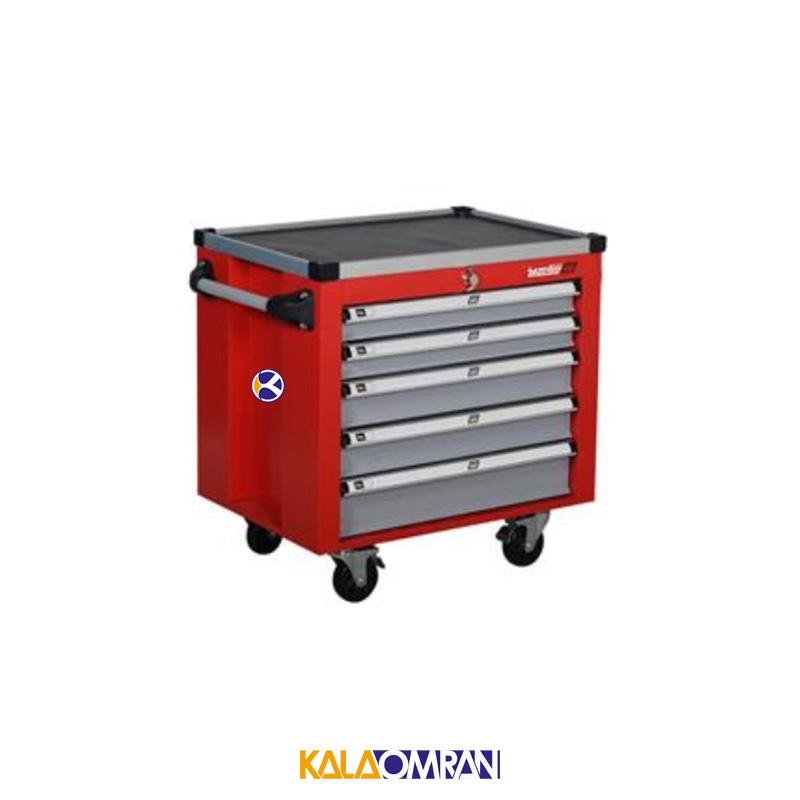 جعبه ابزار کارگاهی شاهرخ ابزار کد 725B1