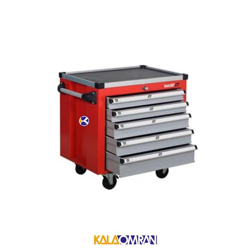 جعبه ابزار کارگاهی شاهرخ ابزار کد 725B1