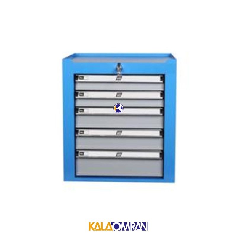 جعبه ابزار کارگاهی شاهرخ ابزار کد 455M