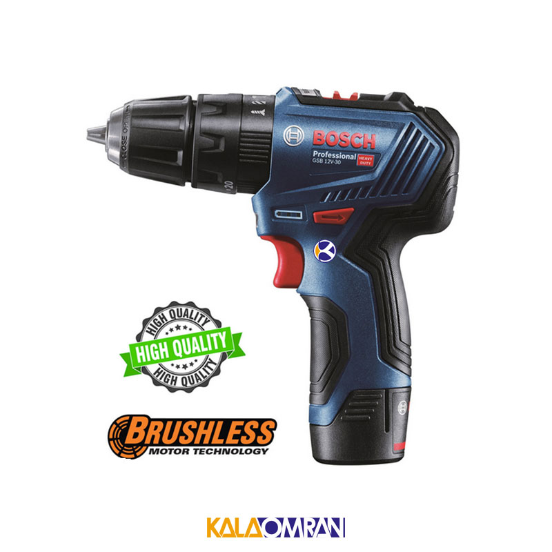 دریل پیچ گوشتی شارژی BRUSHLESS مدل GSR 12V-30 بوش